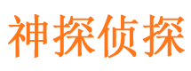 盐池侦探